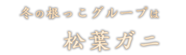 冬の根っこグループは松葉ガニ