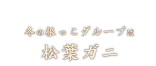 冬の根っこグループは松葉ガニ